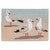 Seagull Beach Rug Collection
