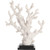 Coral Statue