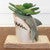 Ceramic Shark Planter