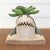 Ceramic Shark Planter