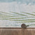 Trinidad Palms Rug - 8 x 11 - OUT OF STOCK UNTIL 09/23/2025