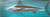 Marlin Back Lit Wall Decor