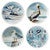 Seaside Birds Ceramic Salad Plates - Set of 4