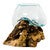 Organic Blown Glass & Root Bowl - Small