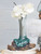 Organic Blown Glass & Root Vase