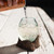 Teakwood Glass Planter - Small
