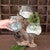 Teakwood Tiered Glass Planter - OUT OF STOCK UNTIL 07/18/2025