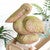 Mossy Pelican Statuary