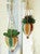Coastal Stripe Hanging Planters - Set of 2 - OUT OF STOCK UNTIL 10/03/2025