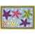 Colorful Starfish Indoor/Outdoor Accent Rug