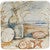 Seaside Gathering Canape Plates - Set of 4