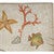 Coral Garden Outdoor Doormat