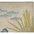 Coral Garden Outdoor Rug - 4 x 6