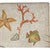 Coral Garden Outdoor Rug - 3 x 5