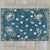 Shells & More Outdoor Rug - 4 x 6