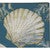 Shells Ahoy Outdoor Doormat