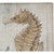 Seahorse Dream Outdoor Rug - 3 x 5