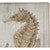 Seahorse Dream Outdoor Doormat