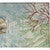 Seashell Story Outdoor Rug - 5 x 7