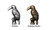 Toucan Cabinet Knob - Set of 2