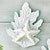 Starfish on Aqua Reef Wood Wall Art