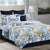 Tropical Reef Quilt Bedding Collection