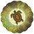 Leatherback Turtle Wind Spinner