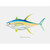 Yellowfin Profile Canvas Wall Art