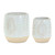 Imprinted Gray Leaves Planters - Set of 2