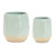 Pristine Leaf Pots - Set of 2