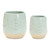 Pristine Leaf Pots - Set of 2