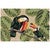 Toucan Tango Indoor/Outdoor Rug - 3 x 4