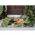 Toucan Tango Indoor/Outdoor Rug - 2 x 3