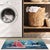 Dogs Ocean Adventure Indoor/Outdoor Rug - 3 x 4