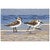 Waders Serenity Indoor/Outdoor Rug - 20 x 30