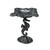 Swimming Seahorse Pedestal Dish - Medium