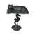 Swimming Seahorse Pedestal Dish - Large