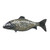 Pearly Fish Platter