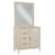 Luminous Reflections Door Chest with Mirror
