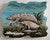 Manatee Haven Wood Wall Art