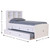 Serenity Twin Bookcase Bed with Twin Trundle & 3 Drawers