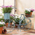 Beach Bike Planter