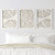Sand Dollar Abstract Rice Paper Prints - Set of 3