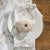 Coastal Cove Napkin - OVERSTOCK