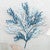 Coral Branches Metal Wall Art