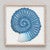 Indigo Isle Sea Snail Wall Art