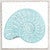 Beach Impressions Sea Snail Wall Art - CLEARANCE
