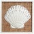 Island Shells Scallop Wall Art