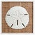 Island Shells Sand Dollar Wall Art