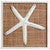 Island Shells Starfish Wall Art